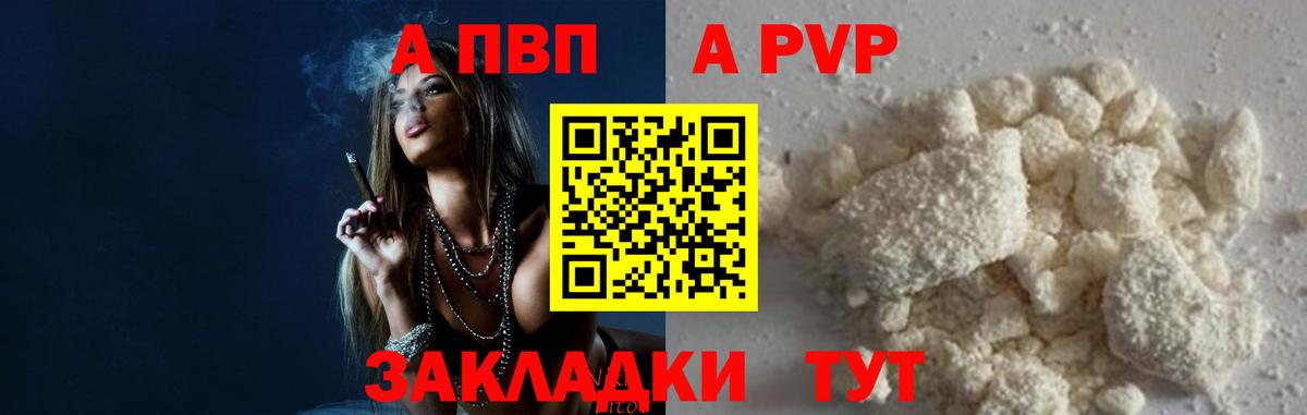 Альфа ПВП СК Губкинский