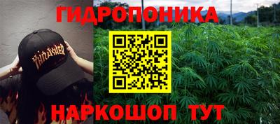 прущая мука Гай