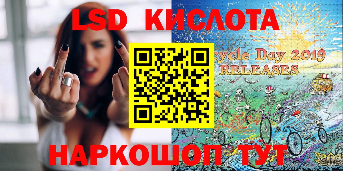 Псилоцибиновые грибы Губкинский