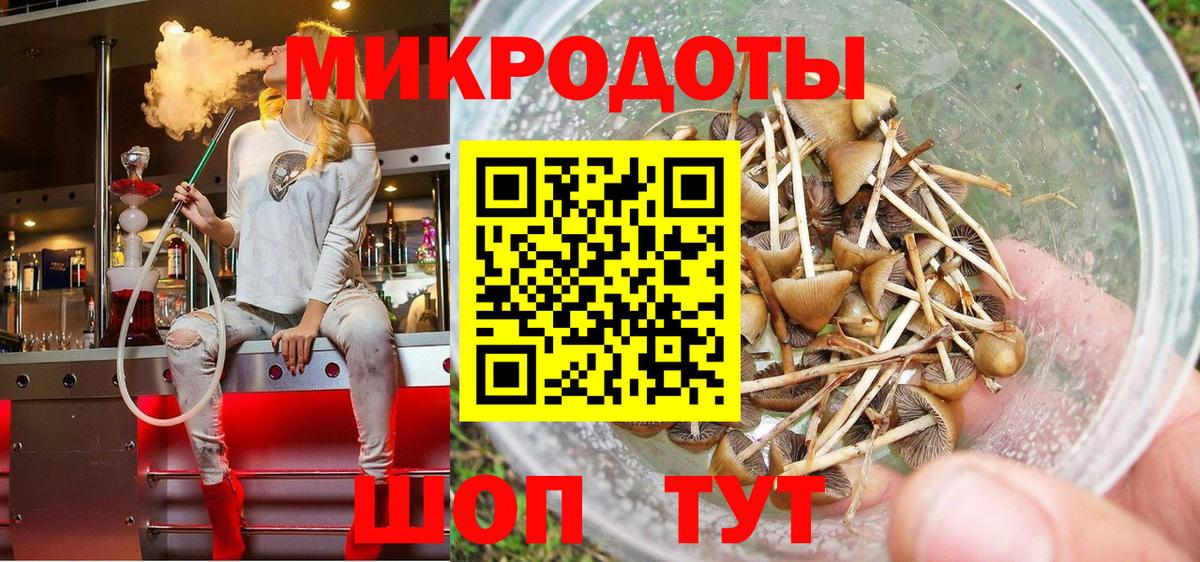Псилоцибиновые грибы прущие грибы Губкинский